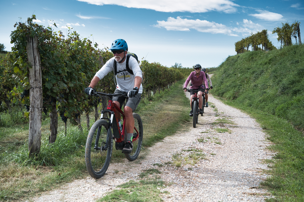 Slovenia Alps to Adriatic; bikers biking among vineyards